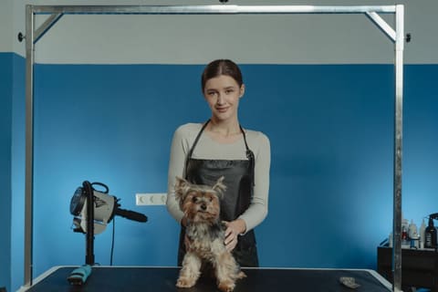Demo-website voor een trimsalon